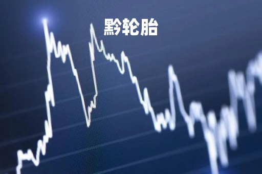 黔轮胎「黔轮胎A」