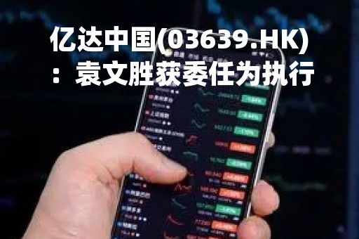 亿达中国(03639.HK)：袁文胜获委任为执行董事