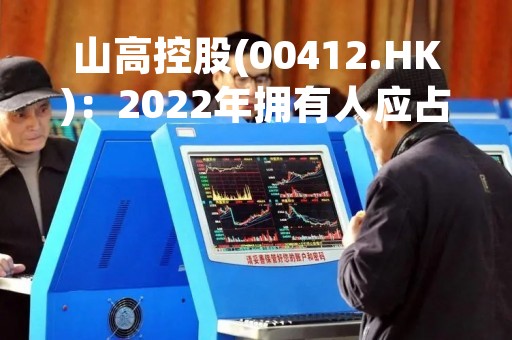 山高控股(00412.HK)：2022年拥有人应占亏损4.58亿港元