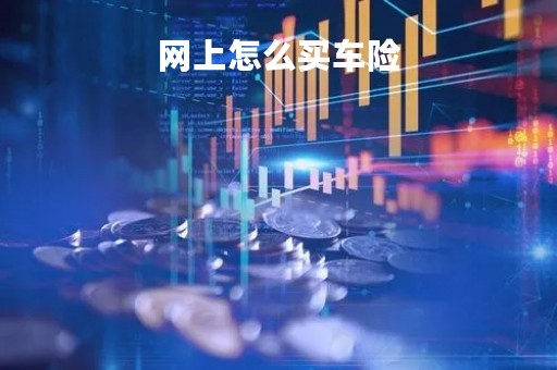 网上怎么买车险