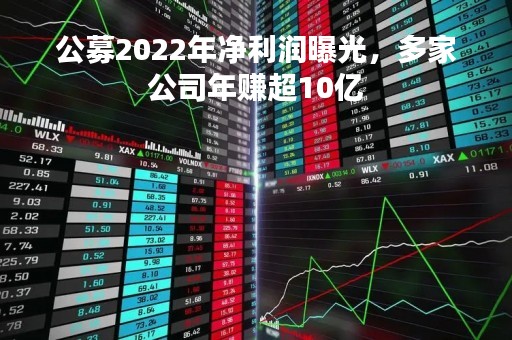 公募2022年净利润曝光，多家公司年赚超10亿
