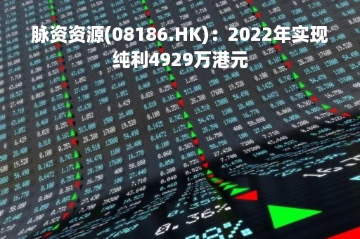 脉资资源(08186.HK)：2022年实现纯利4929万港元