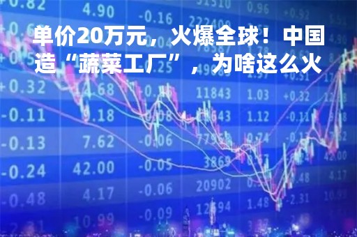 单价20万元，火爆全球！中国造“蔬菜工厂”，为啥这么火？