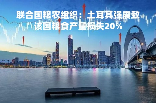 联合国粮农组织：土耳其强震致该国粮食产量损失20%