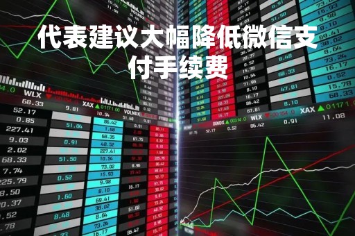 代表建议大幅降低微信支付手续费「微信支付降低费率」