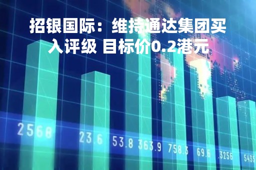 招银国际：维持通达集团买入评级 目标价0.2港元