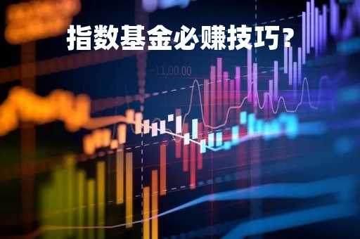 指数基金必赚技巧？