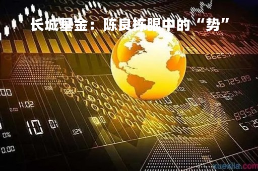 长城基金：陈良栋眼中的“势”