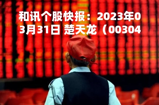 和讯个股快报：2023年03月31日 楚天龙（003040）该股换手率大于8%