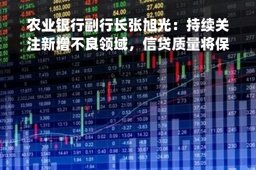 农业银行副行长张旭光：持续关注新增不良领域，信贷质量将保持稳中向好