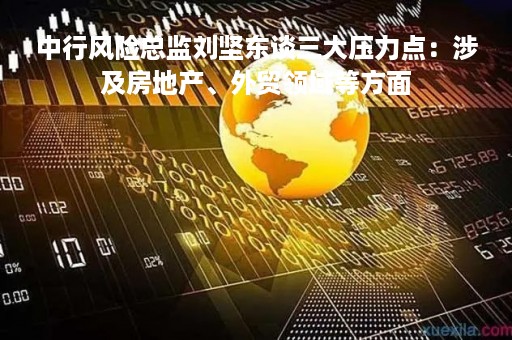 中行风险总监刘坚东谈三大压力点：涉及房地产、外贸领域等方面