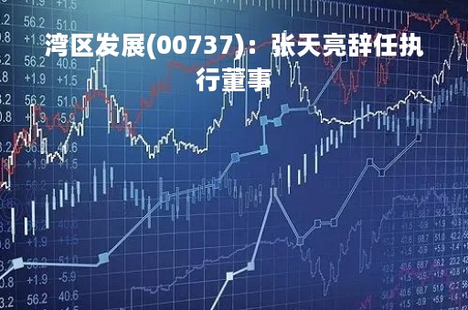 湾区发展(00737)：张天亮辞任执行董事