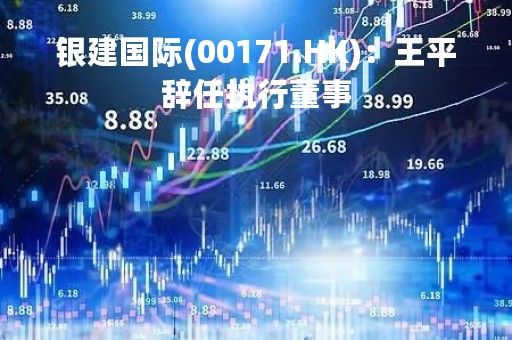 银建国际(00171.HK)：王平辞任执行董事