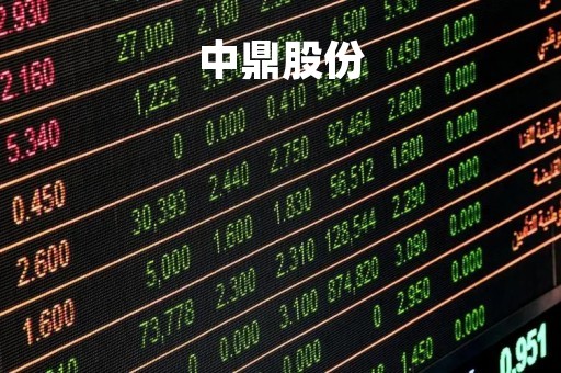 中鼎股份「中鼎股份公司简介」
