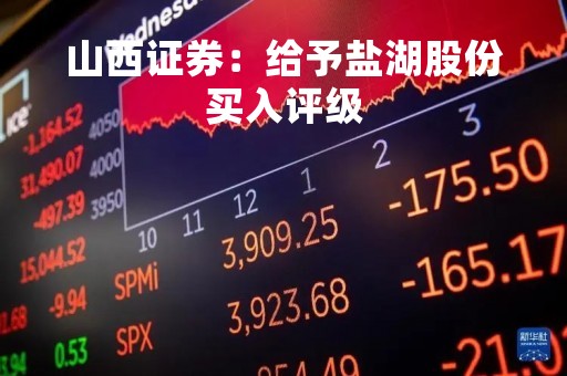 山西证券：给予盐湖股份买入评级