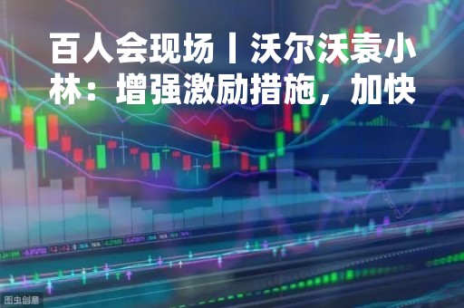 百人会现场丨沃尔沃袁小林：增强激励措施，加快充电基础设施建设与优化布局