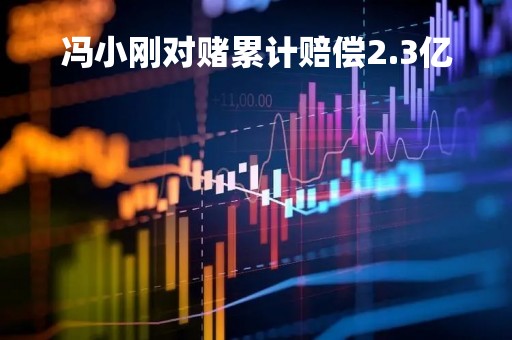 冯小刚对赌累计赔偿2.3亿「冯小刚对赌累计赔偿达23亿」