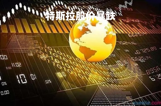 特斯拉股价暴跌「特斯拉股价暴跌60% 马斯克丢掉世界首富头衔」