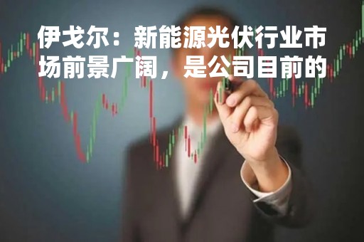 伊戈尔：新能源光伏行业市场前景广阔，是公司目前的战略发展方向