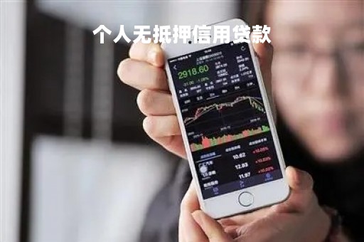 个人无抵押信用贷款「个人信用贷款」