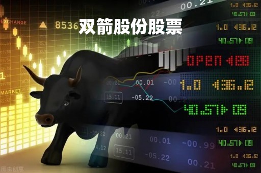 双箭股份股票「双箭股份股票怎么样」