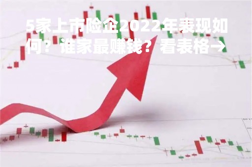 5家上市险企2022年表现如何？谁家最赚钱？看表格→