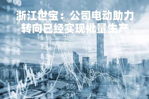浙江世宝：公司电动助力转向已经实现批量生产