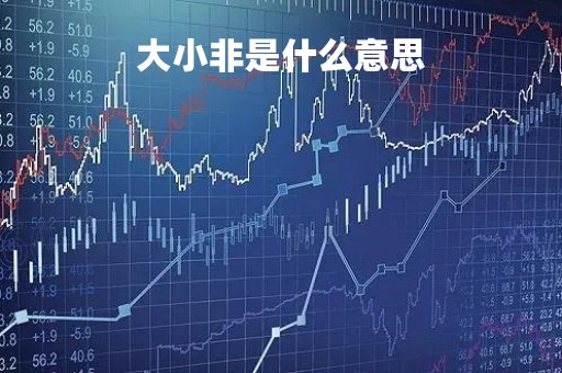 大小非是什么意思「大小非百科」