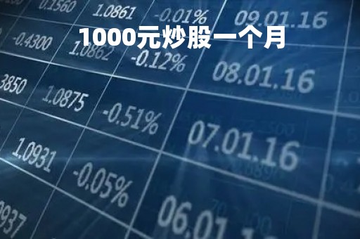 1000元炒股一个月「最笨最赚钱的炒股方法」