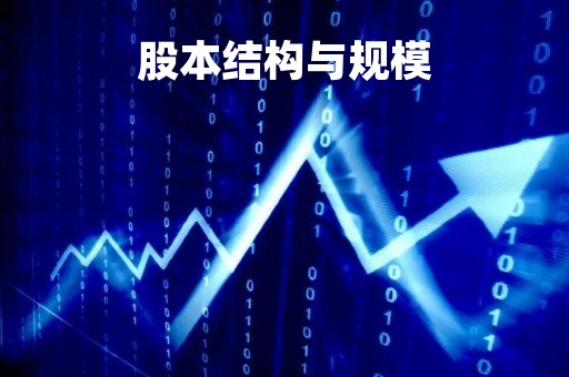 股本结构与规模「app股本结构与规模」