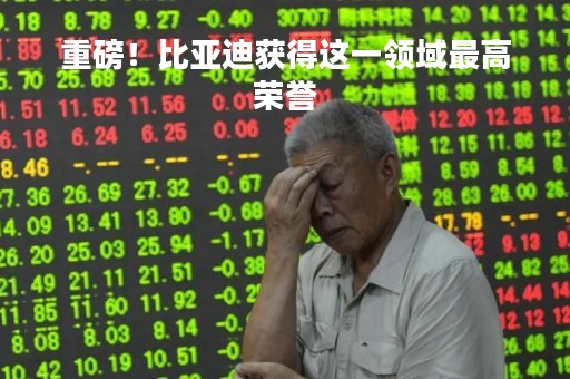 重磅！比亚迪获得这一领域最高荣誉