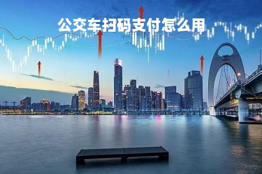 公交车扫码支付怎么用