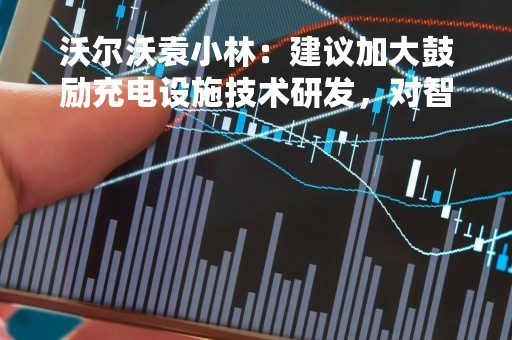 沃尔沃袁小林：建议加大鼓励充电设施技术研发，对智能充电设施提供优惠政策