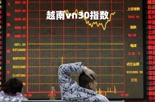 越南vn30指数「纳斯达克100指数」