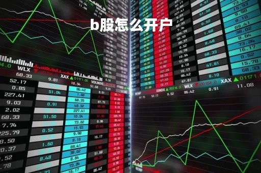 b股怎么开户「b股开户费怎么收」