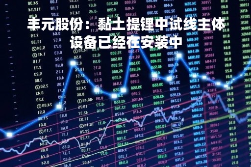 丰元股份：黏土提锂中试线主体设备已经在安装中
