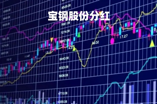 宝钢股份分红「2022年分红时间表」