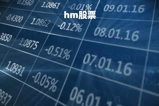 hm股票「hm股票叫什么」