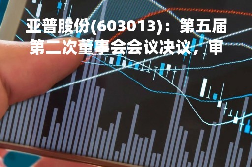 亚普股份(603013)：第五届第二次董事会会议决议，审议《2022年度董事会工作报告》等多项议案