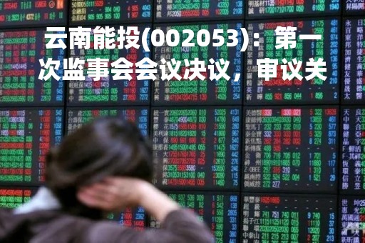 云南能投(002053)：第一次监事会会议决议，审议关于公司2022年度监事薪酬的议案