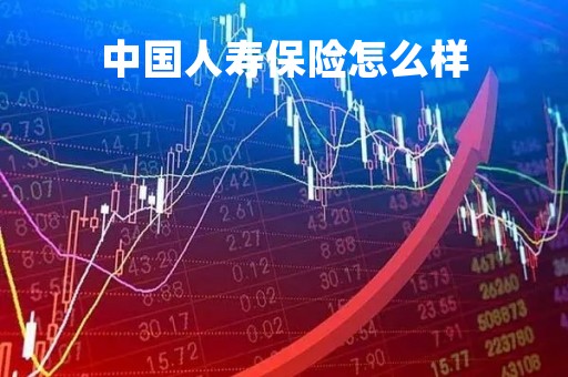 中国人寿保险怎么样
