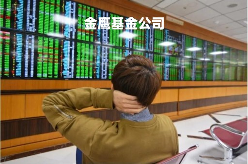 金鹰基金公司「先锋基金公司」