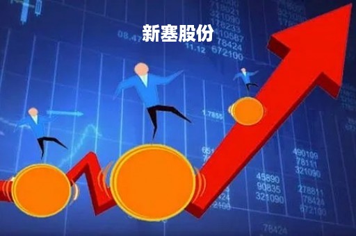 新塞股份「新赛股份有限公司简介」