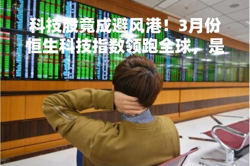 科技股竟成避风港！3月份恒生科技指数领跑全球，是何逻辑？