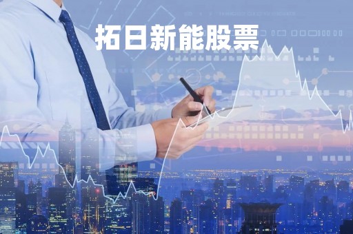 拓日新能股票「上证指数」