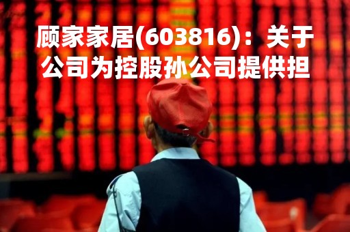 顾家家居(603816)：关于公司为控股孙公司提供担保的公告