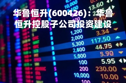 华鲁恒升(600426)：华鲁恒升控股子公司投资建设相关项目的公告