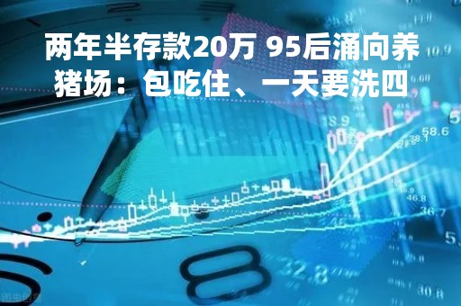 两年半存款20万 95后涌向养猪场：包吃住、一天要洗四次澡