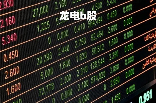 龙电b股「龙电B股改名了吗」