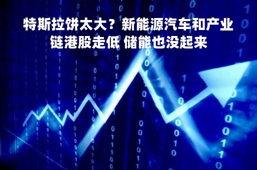 特斯拉饼太大？新能源汽车和产业链港股走低 储能也没起来